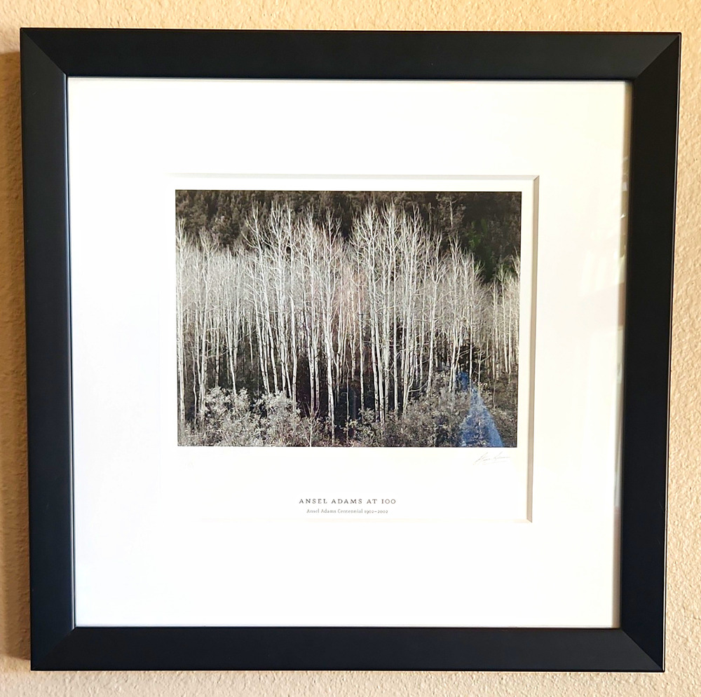Ansel Adams Aspens Centennial Framed Art Poster Print 16"x15.75"